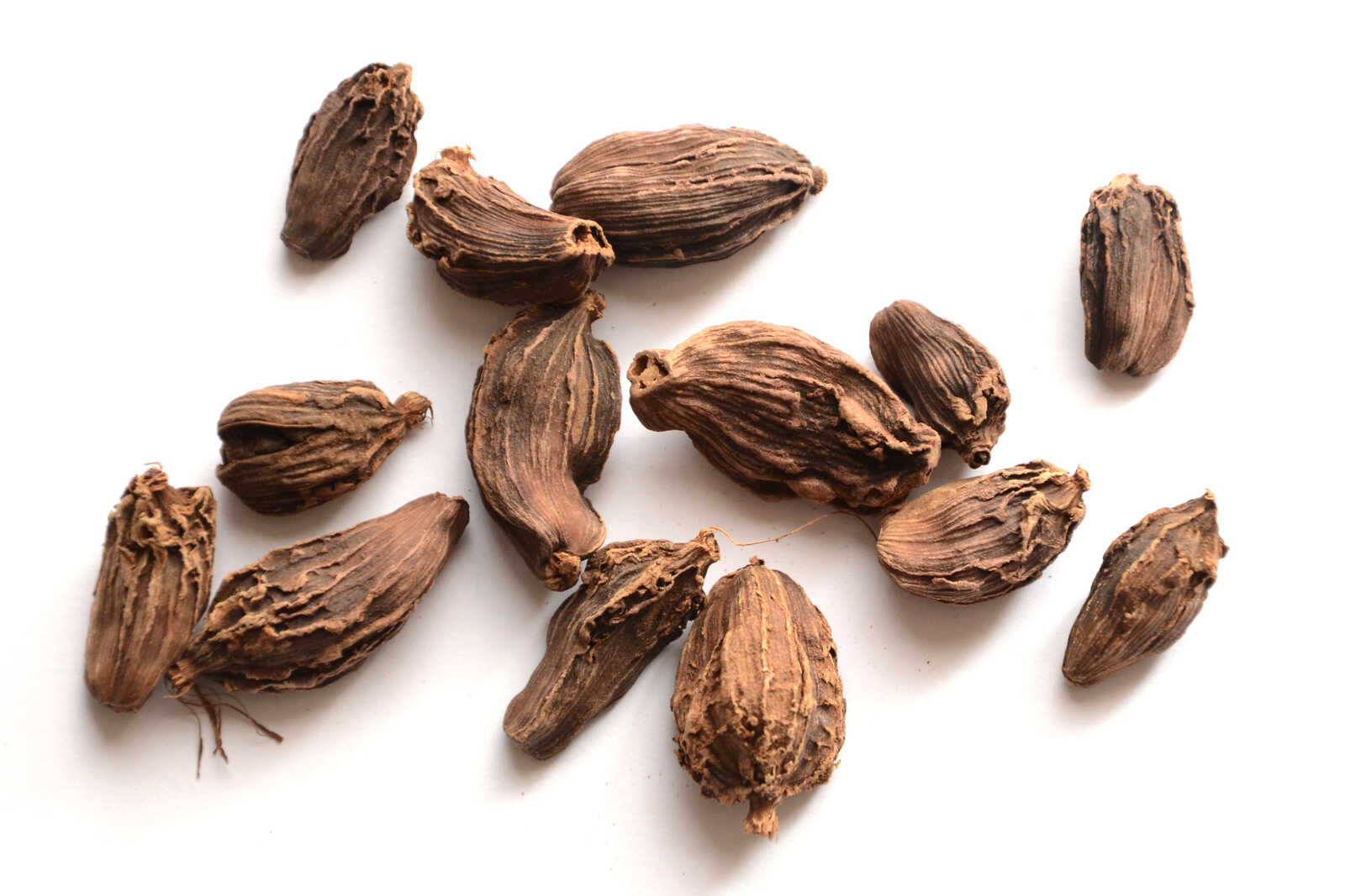 Tout savoir sur la cardamome noire