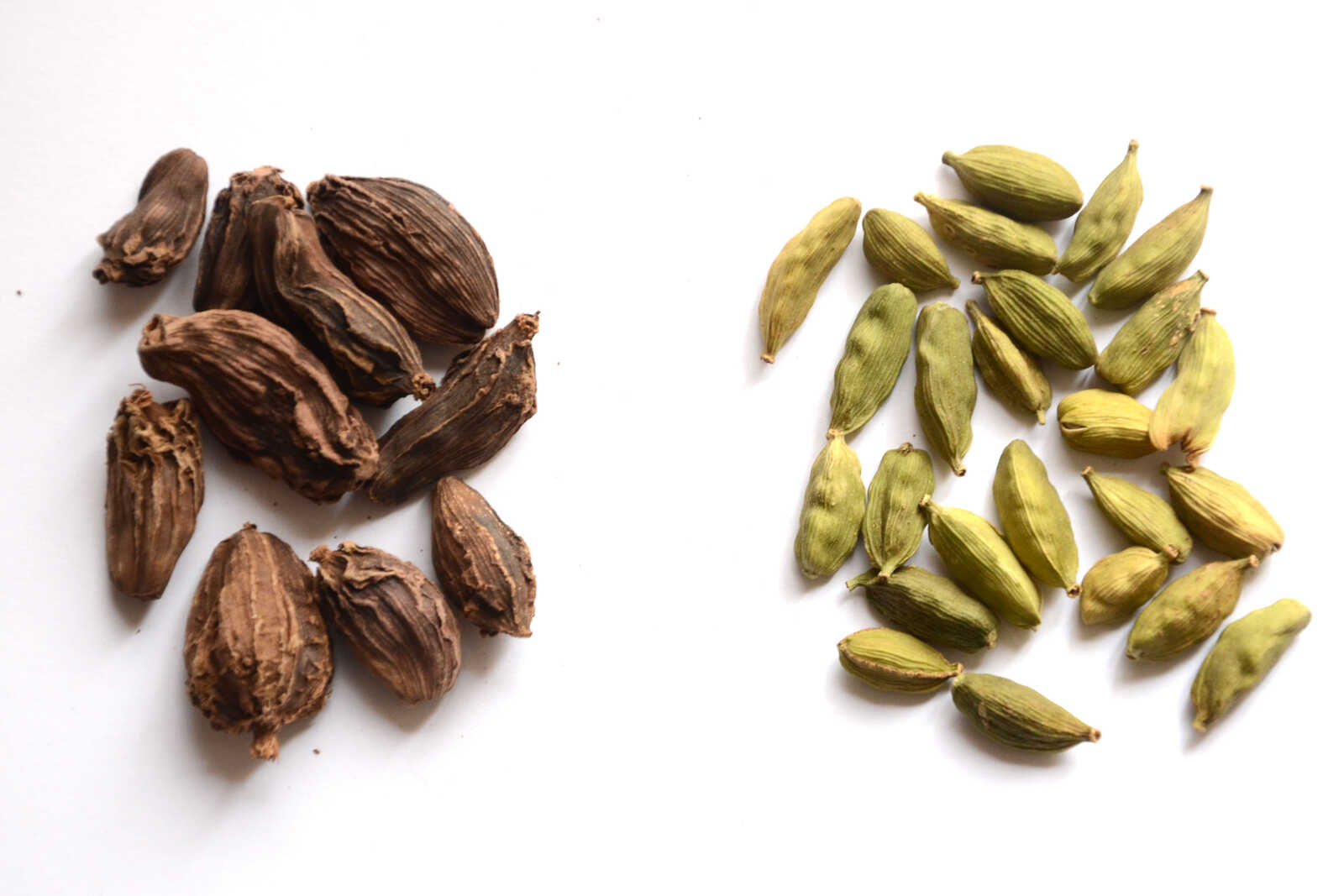 Tout savoir sur la cardamome noire