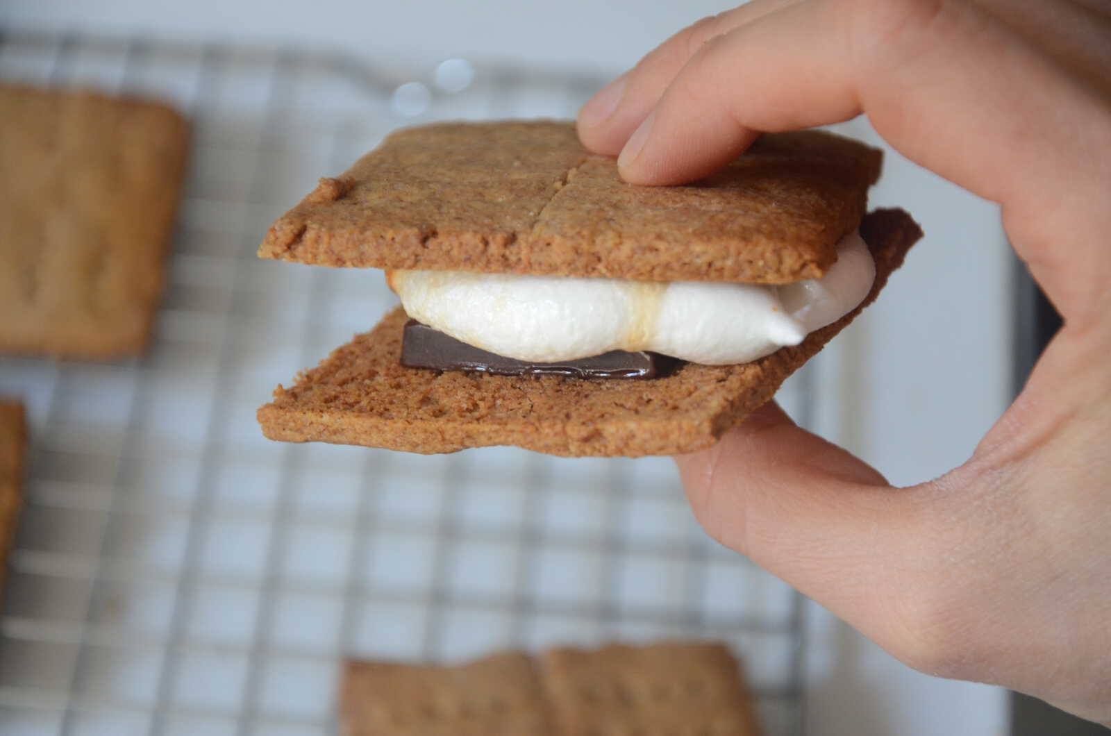 Graham Crackers et S'mores