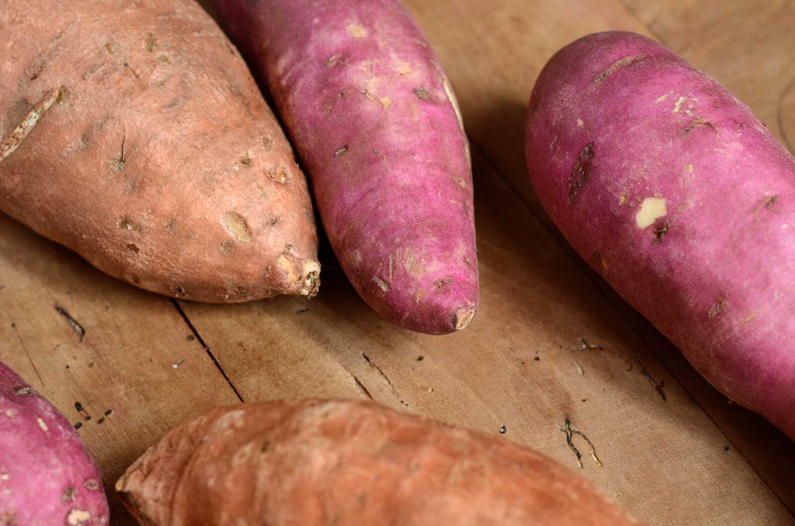 Sweet potato